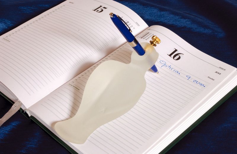 Caged bird essay picture