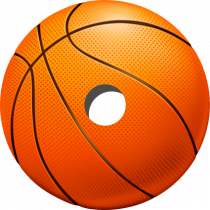 Wheelchair Spoke Protectors Basketball