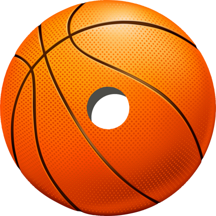 Wheelchair Spoke Protectors Basketball