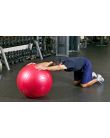 Physio-Balls