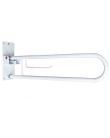 Drop Down Safety Rail With Toilet Roll Holder