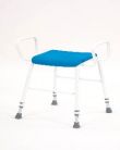 Deluxe Perching Stool With Arms